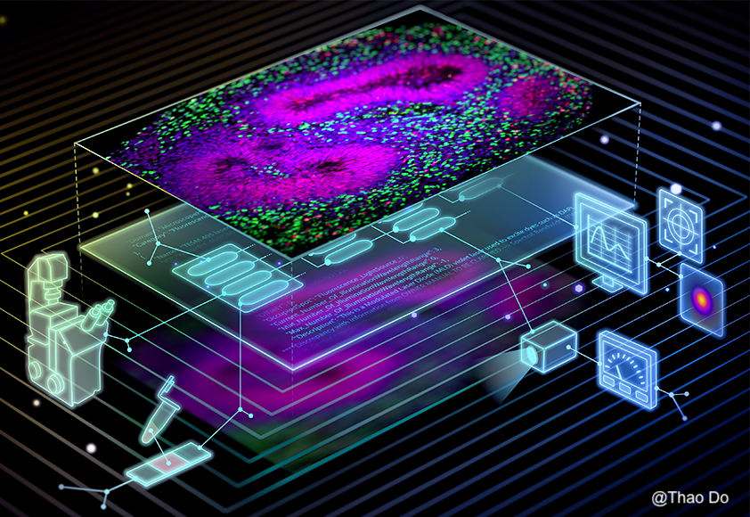 This image was produced in 2021 by Thao Do at the Allen Institute of Cell Science, and appeared on the cover of the Nature Methods Focus Issue on Reporting and reproducibility in microscopy