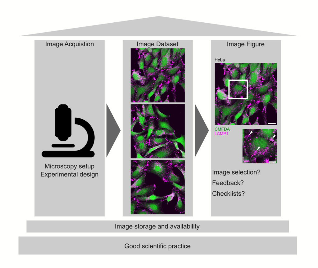 Article about WG 12s work and checklists published in Wiley Imaging ...